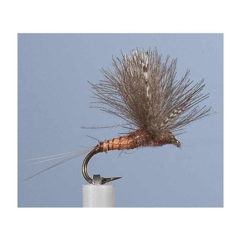 Mouche Jmc Emergente 24