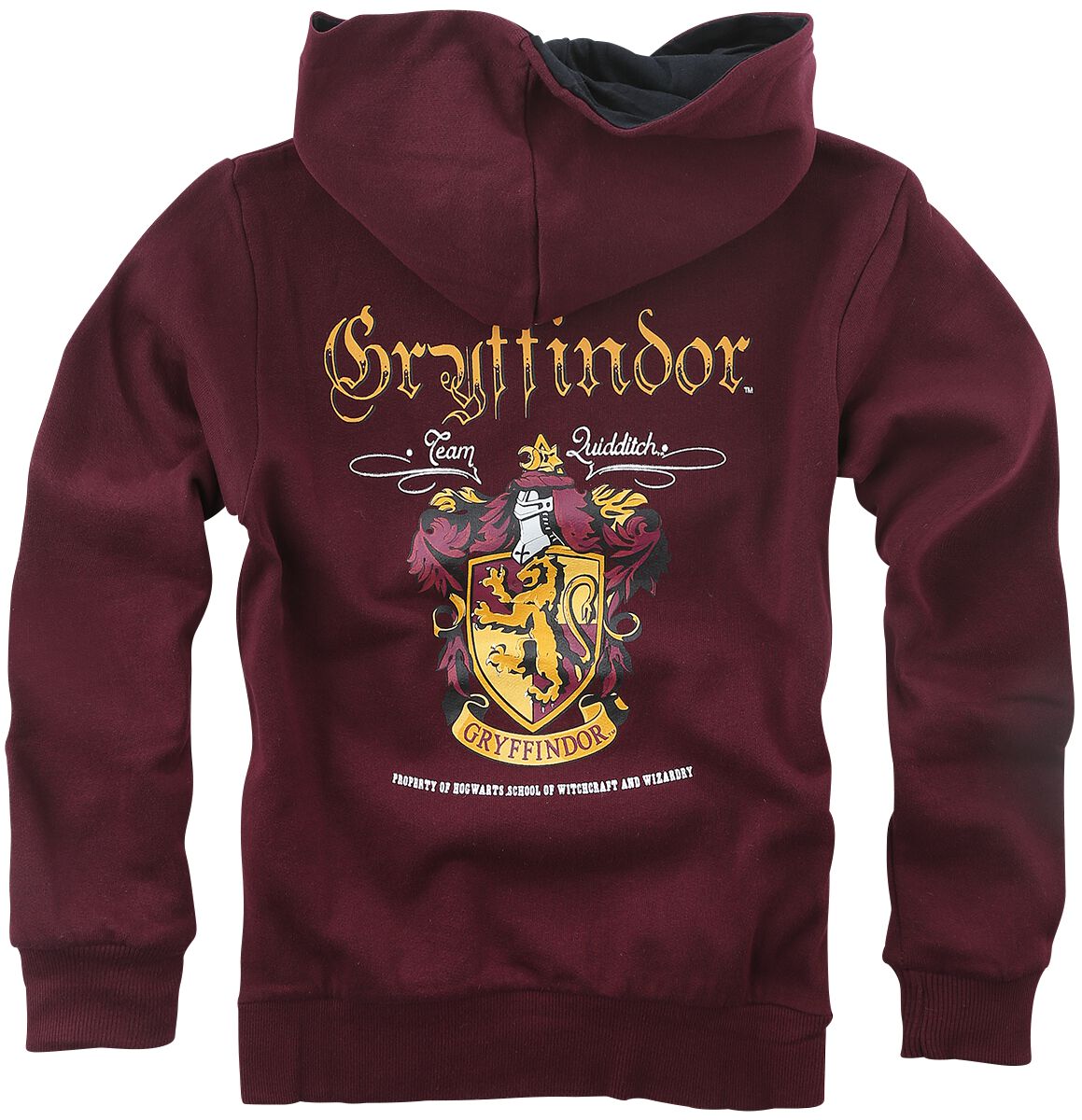 Enfants - Gryffondor | Harry Potter Sweat-shirt à capuche