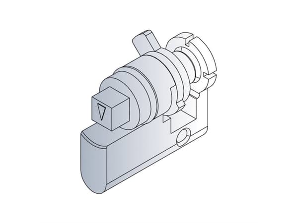 nVent SCHROFF 27230063 19 tommer Netværksskab-dørcylinder