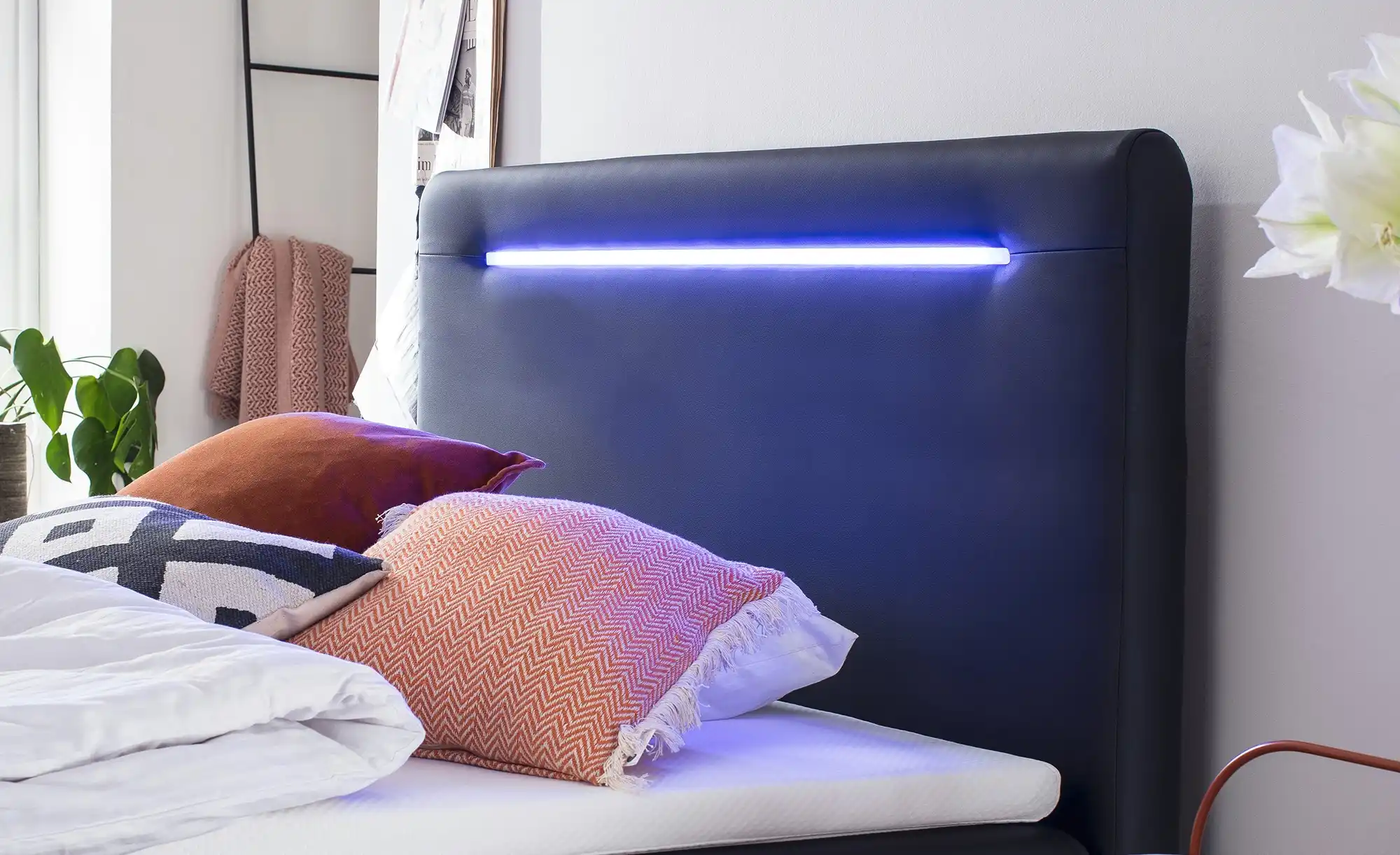 Boxspringbett mit LED-Beleuchtung Knight