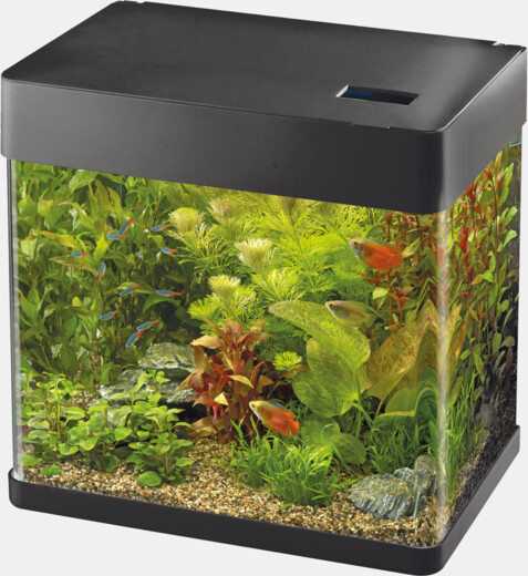 Superfish Panorama 50 LED Zwart | Compleet aquarium