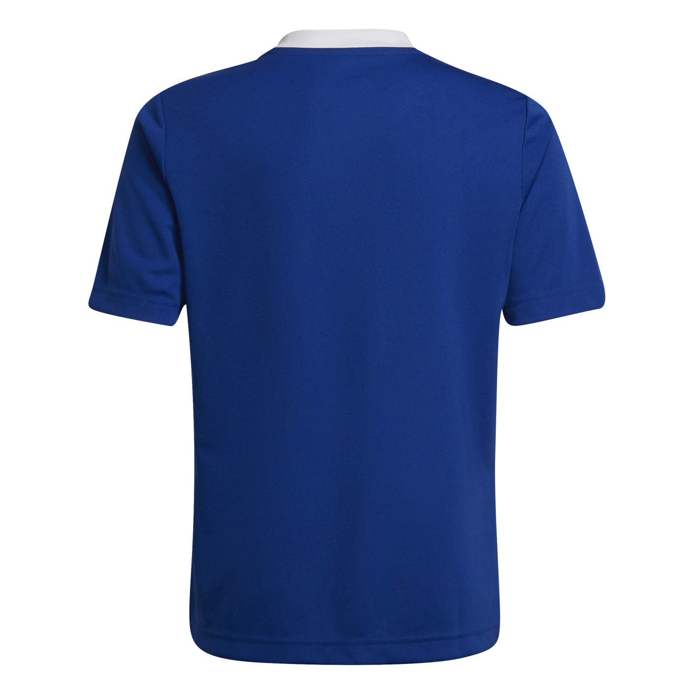 Adidas Entrada 22 Voetbalshirt Kids Blauw Wit