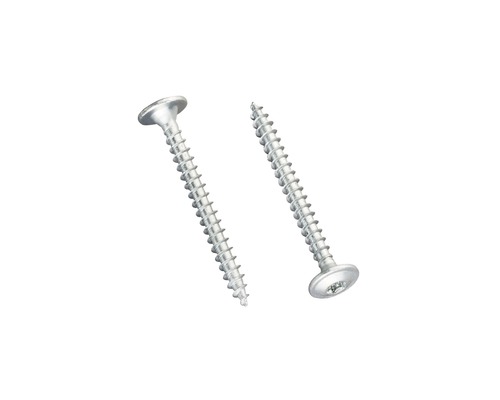 Gutta schroeven voor Easy Click Plus 4 mm x 40 mm Verpakking = 20 stuks