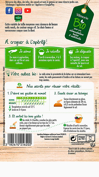 Graines de Radis Saxa 2 bio