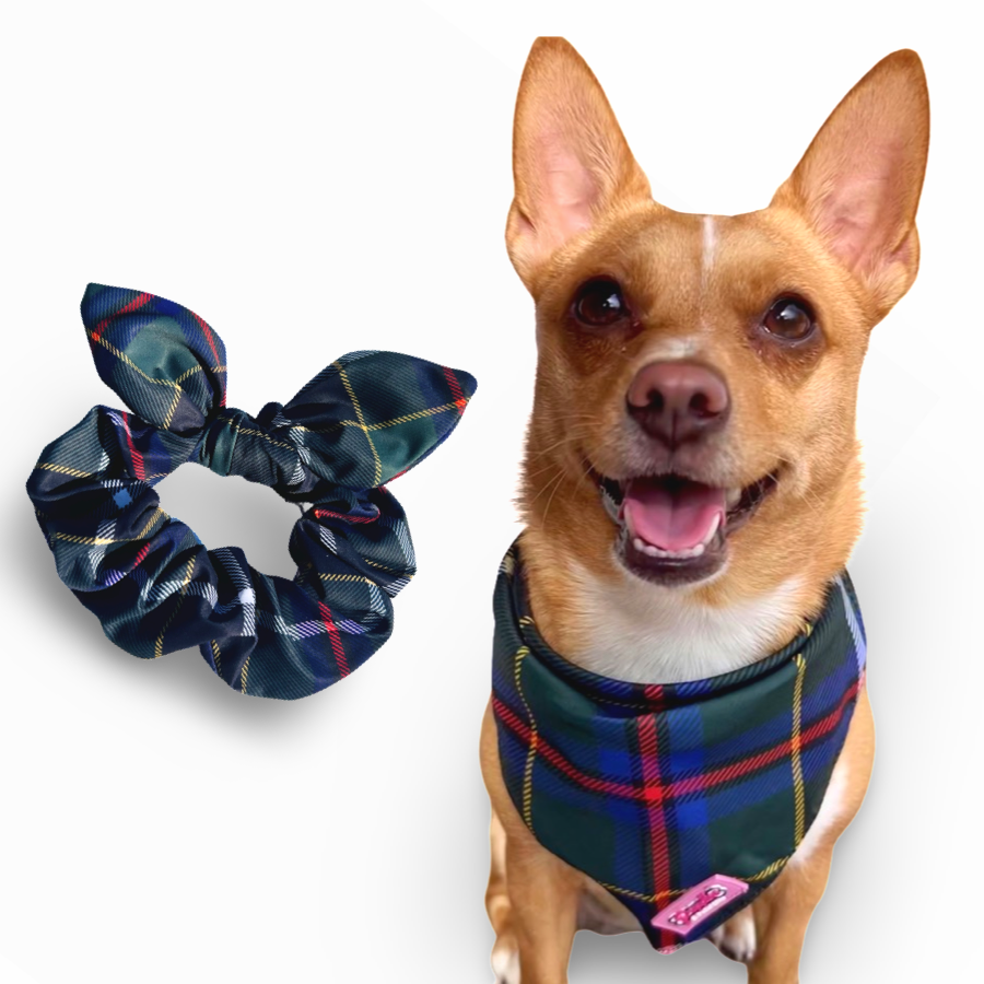 Conjunto de bandana e elástico de cabelo - Tartan de caça da Cornualha