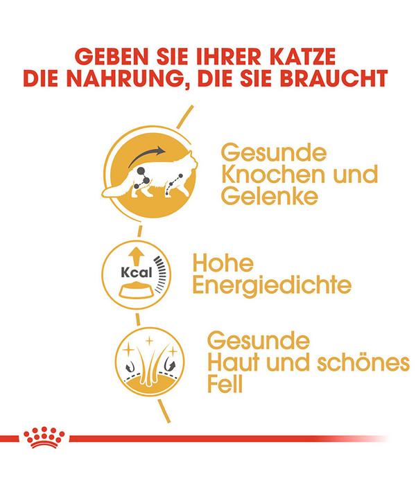 ROYAL CANIN® Nassfutter für Katzen Maine