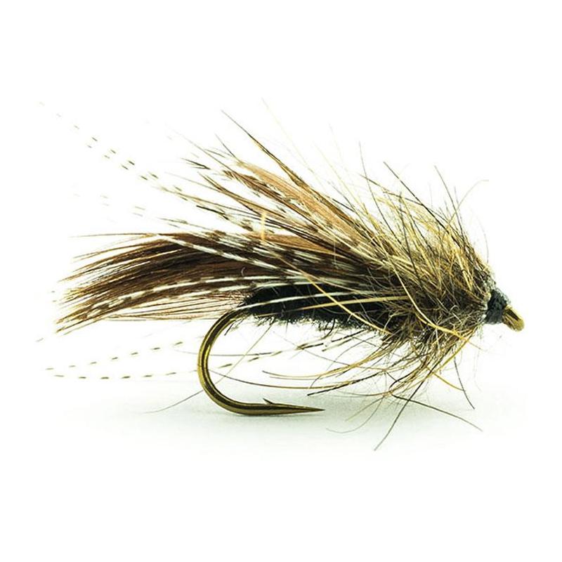 Mouche Devaux Sedge Tricoptheres Jpb08