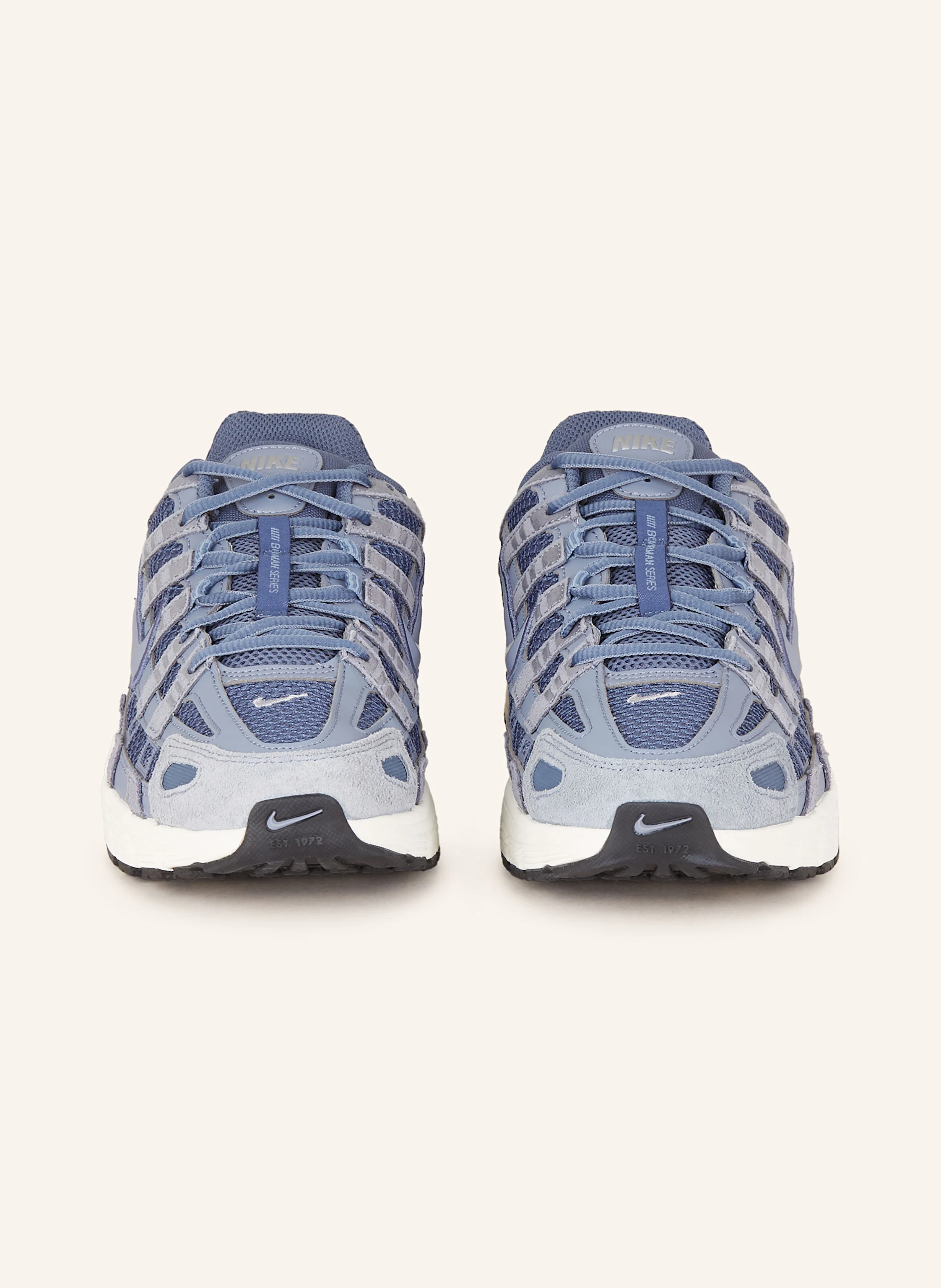Nike Sneaker P-6000 SE