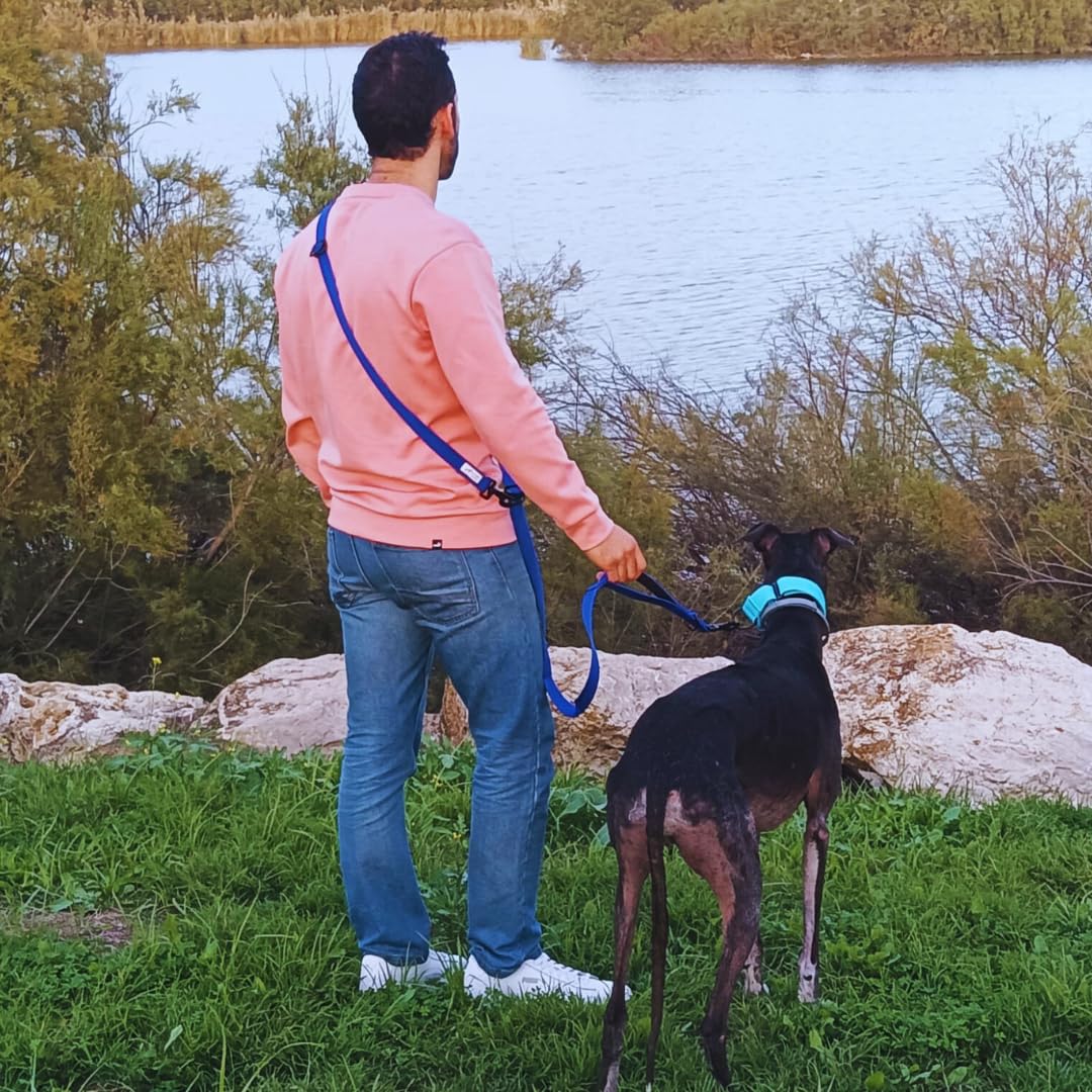 EGV - Guia para cães com múltiplas posições e alça dupla de neoprene. Guia para cães que permite o uso com as mãos livres, com 2,5 metros de comprimento. (Azul Elétrico)