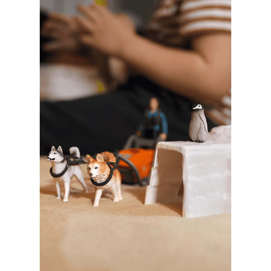 schleich® Antarktis Expedition 42558