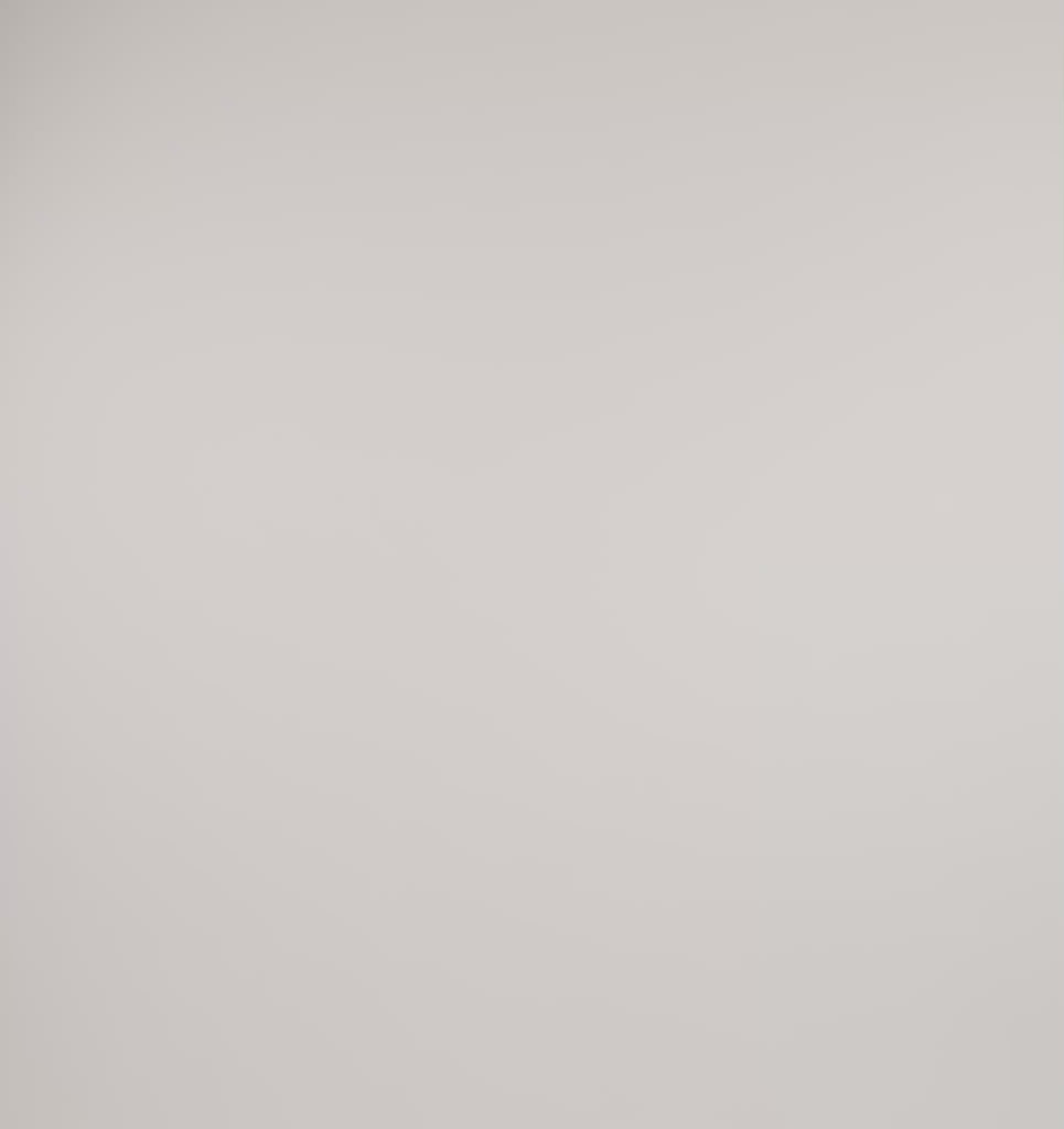 ORGANIC COTTON<br>Weekend Shorts