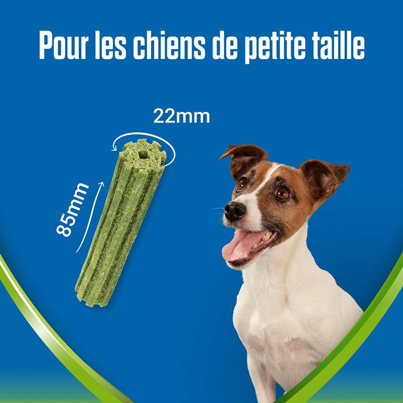 PURINA Dentalife ActivFresh Bâtonnets à mâcher pour petit chien