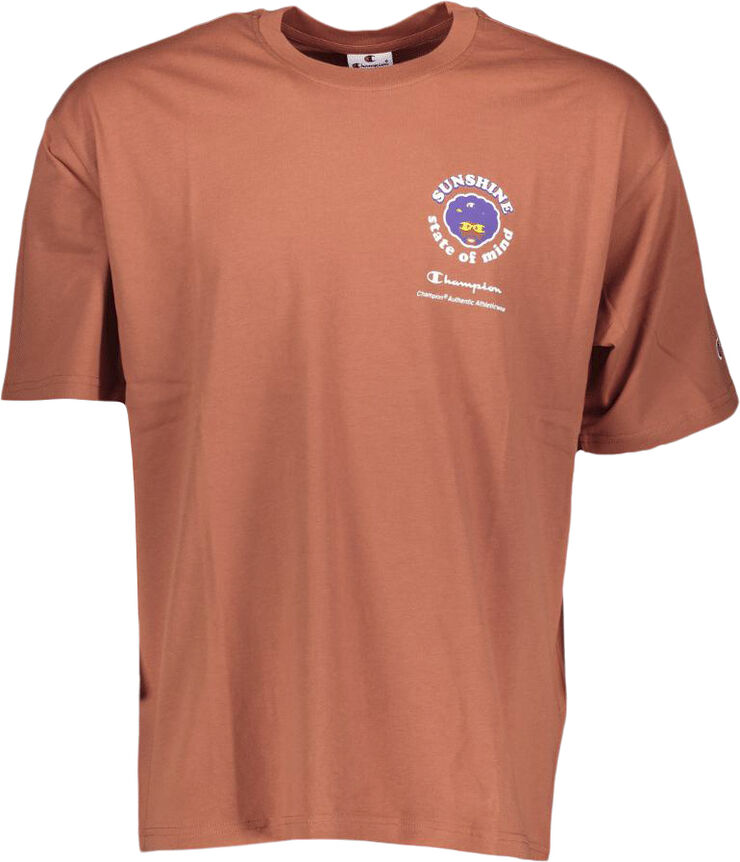 Champion graphic crewneck t-shirt Baked clay