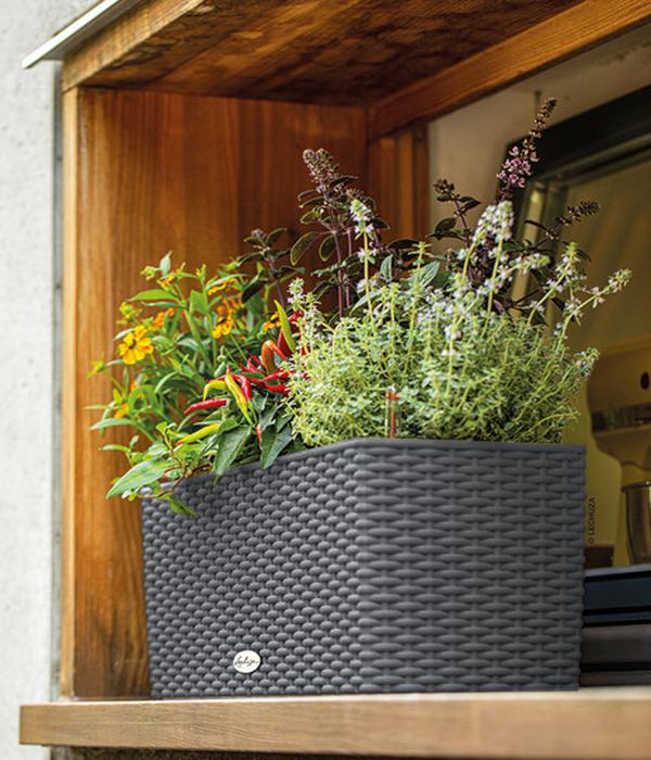 LECHUZA® Kunststoff-Kasten Balconera Cottage,