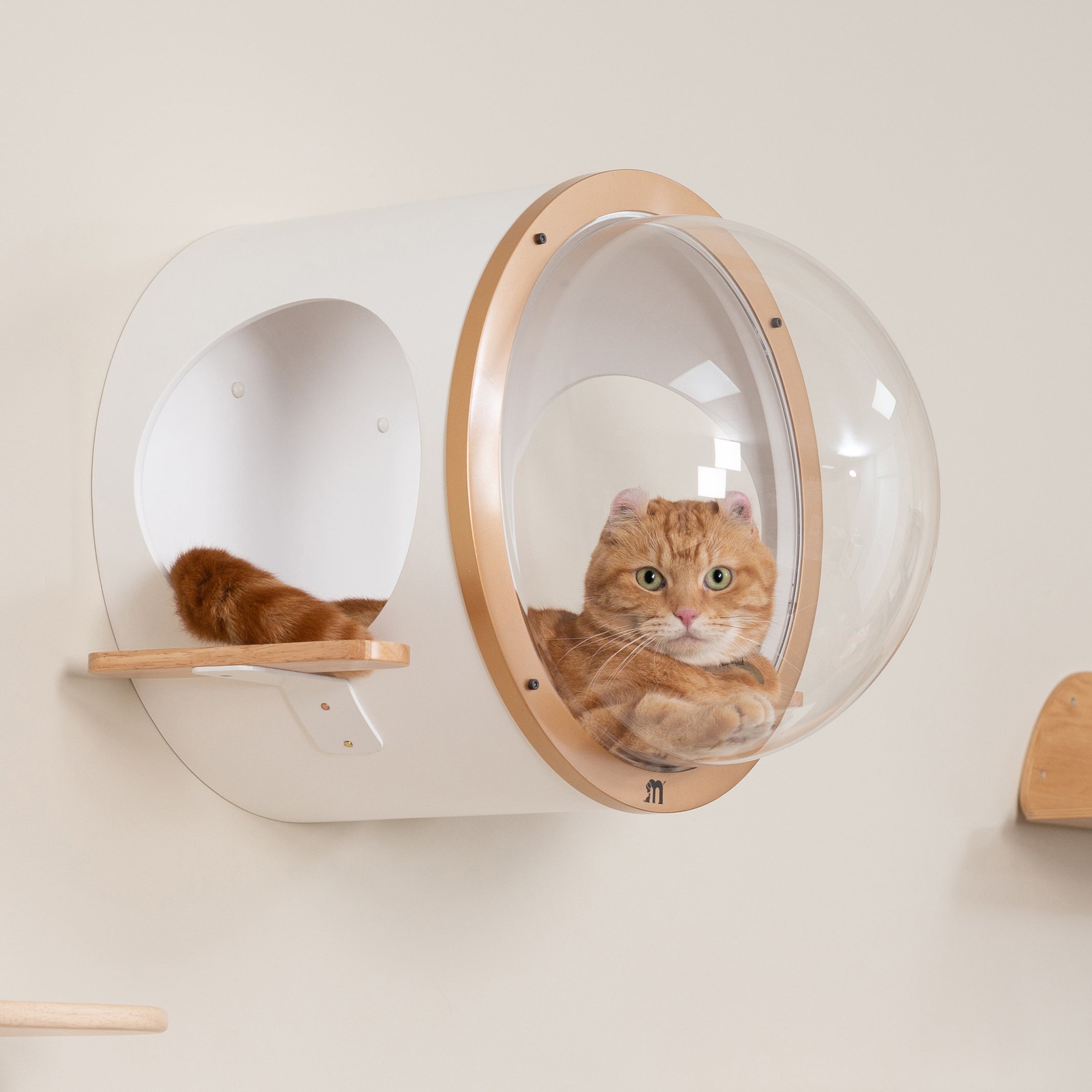Cama cápsula de parede para gatos | Ocean Rover | MYZOO