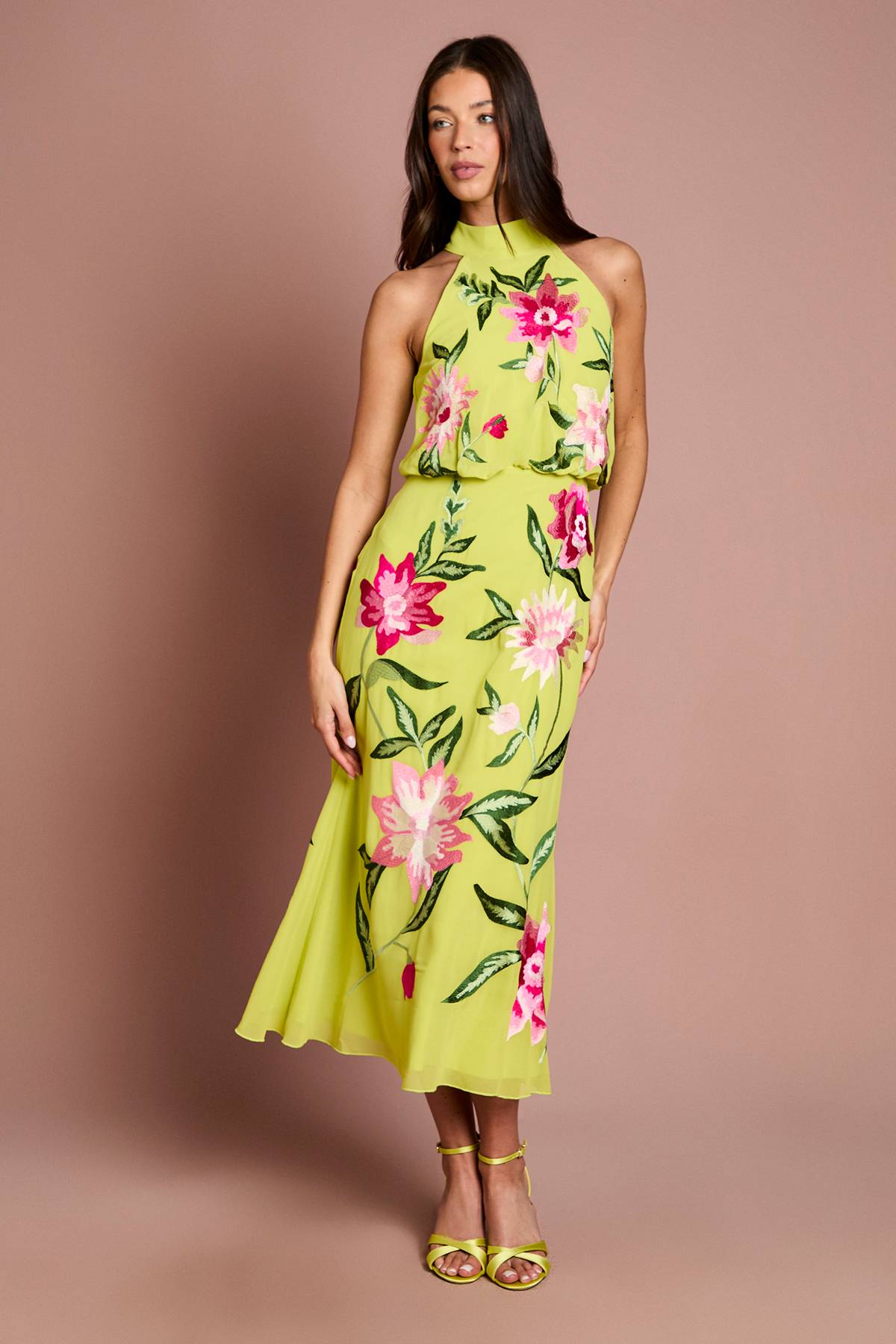 Coast Robe Midi Col Montant Avec Broderie Florale