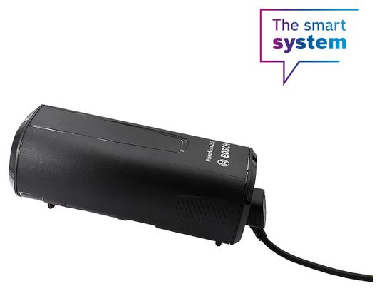 Câble Mahle Coude 30° pour Batterie Externe