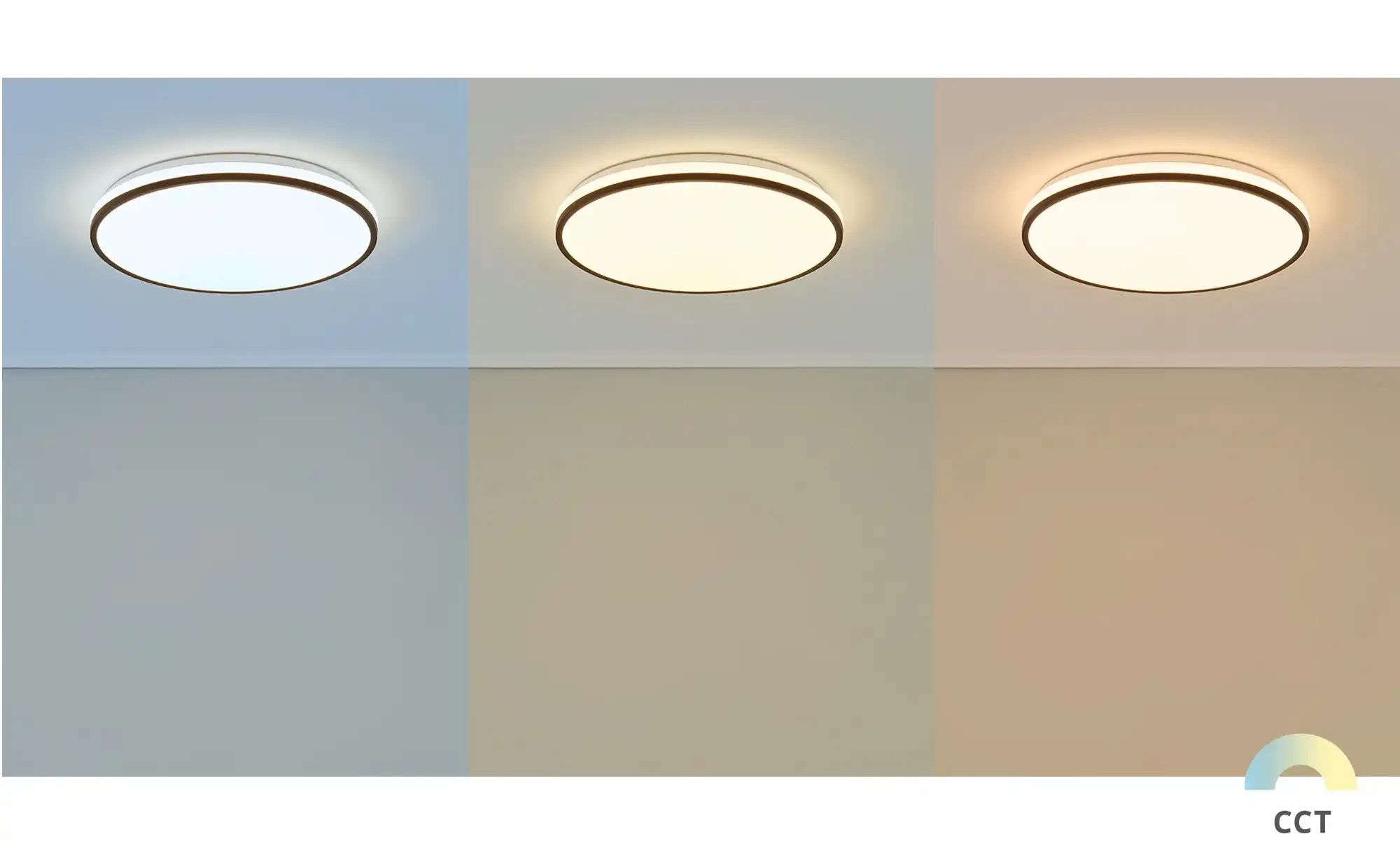 LED-Deckenleuchte, weiß mit schwarzem Ring