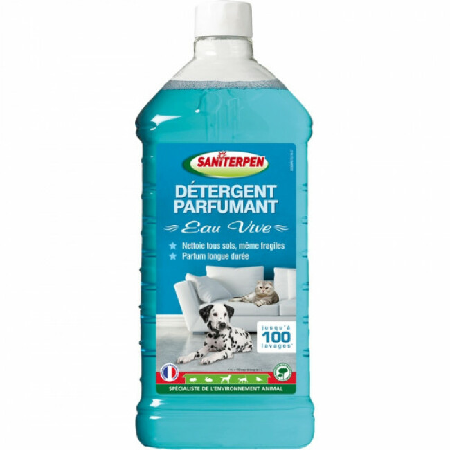 Détergent pour sol et extérieur Saniterpen Bidon 1 litre