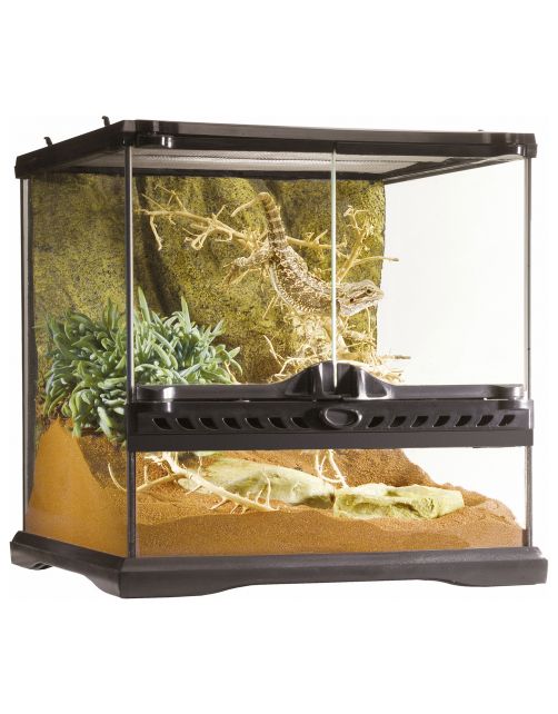 Exo Terra Glas Terrarium - Terraria