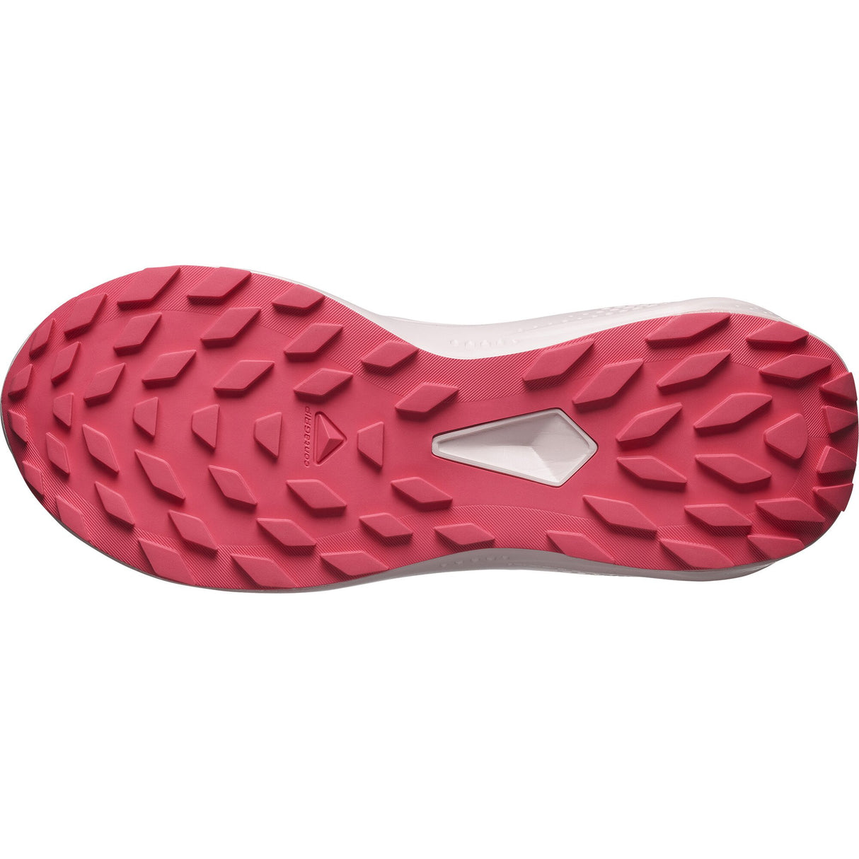 Salomon<br>Alphaglide GTX W