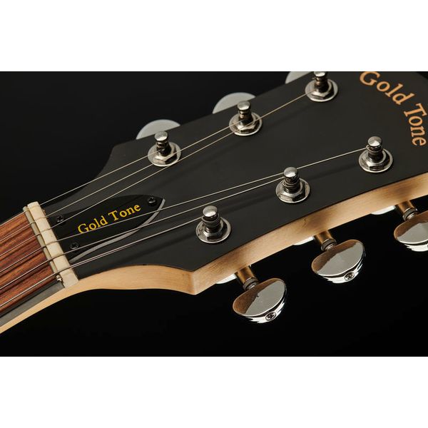 Gold Tone AC 6+ Lefthand