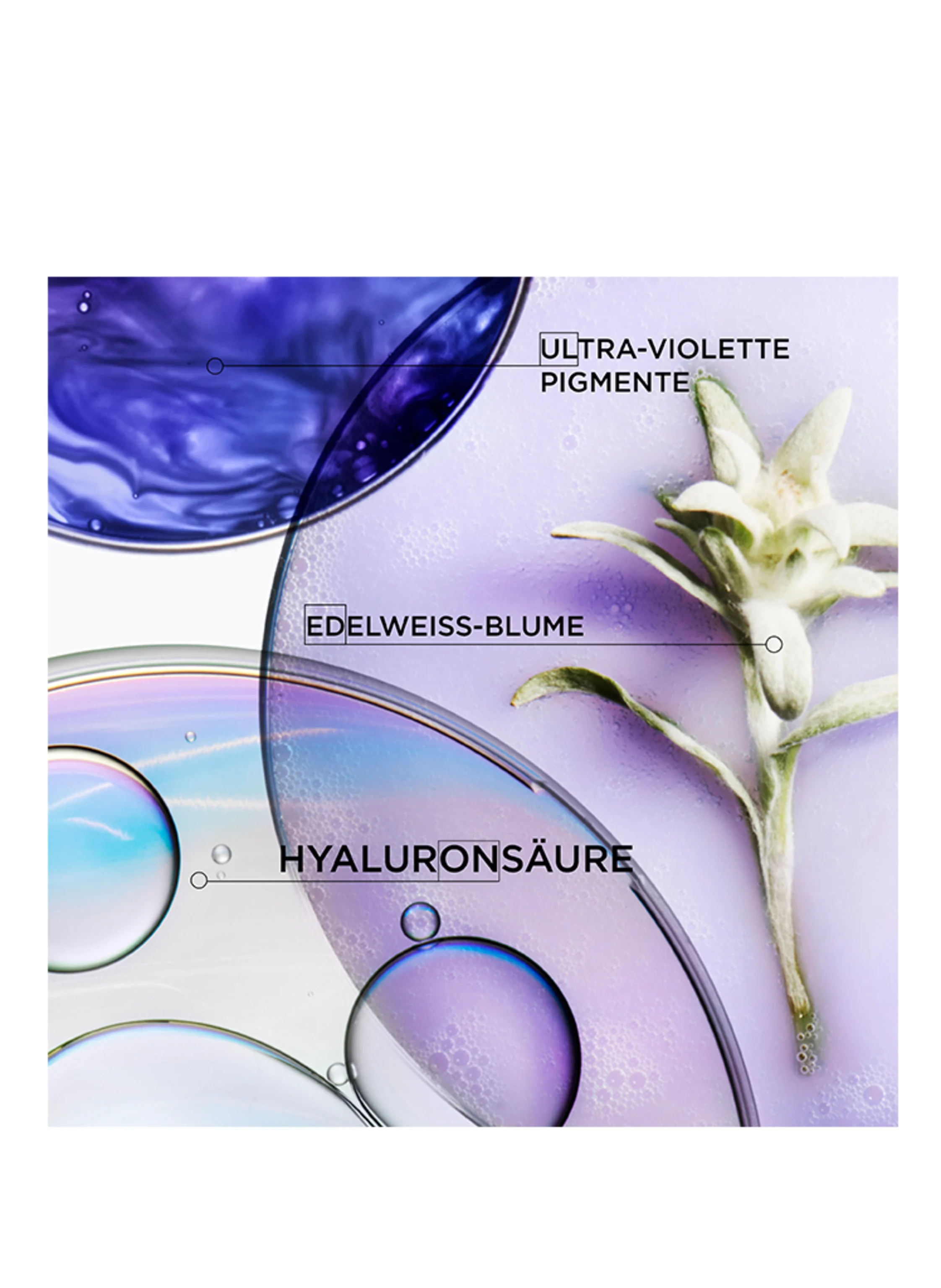 KÉRASTASE BLOND ABSOLU