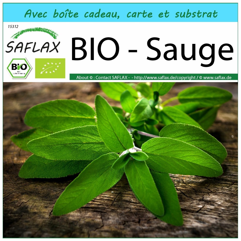 Kit cadeau - bio - sauge - 60 graines - salvia officinalis
