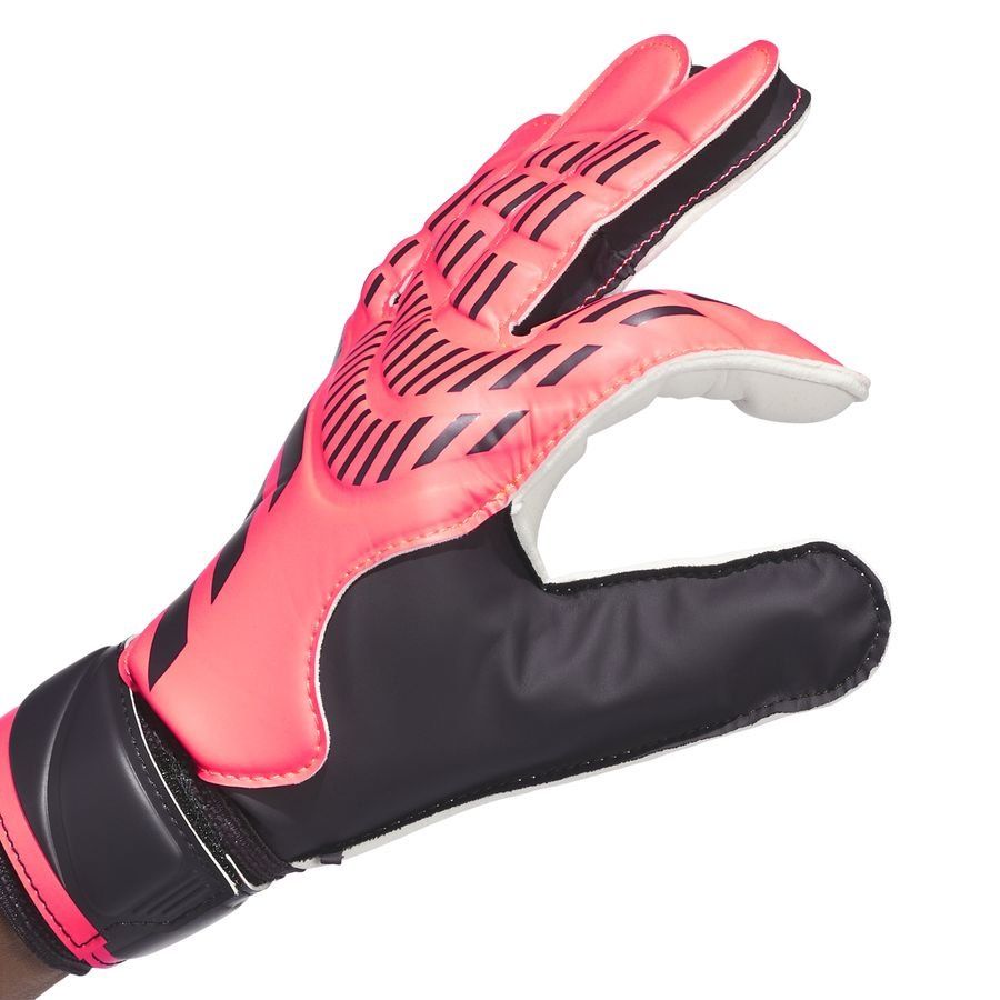 adidas Gants de Gardien Predator Training Vivid Horizon - Turbo/Aurora Black