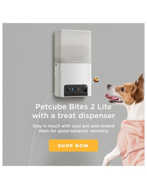 Petcube Pet Camera Met Treat Dispenser En App - IP Camera's - Wit