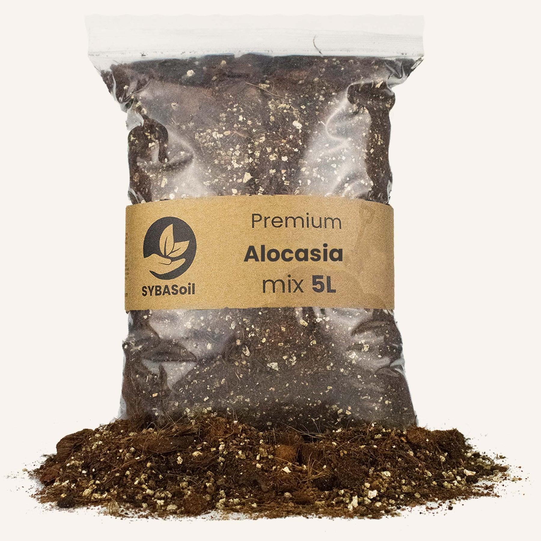 Terreau alocasia - 5l