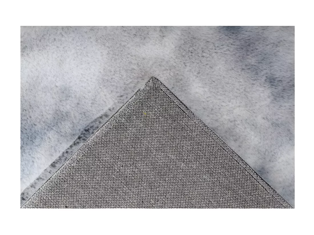 Tapis 170x120cm, design B005O coloris gris - Confort et élégance pour votre intérieur