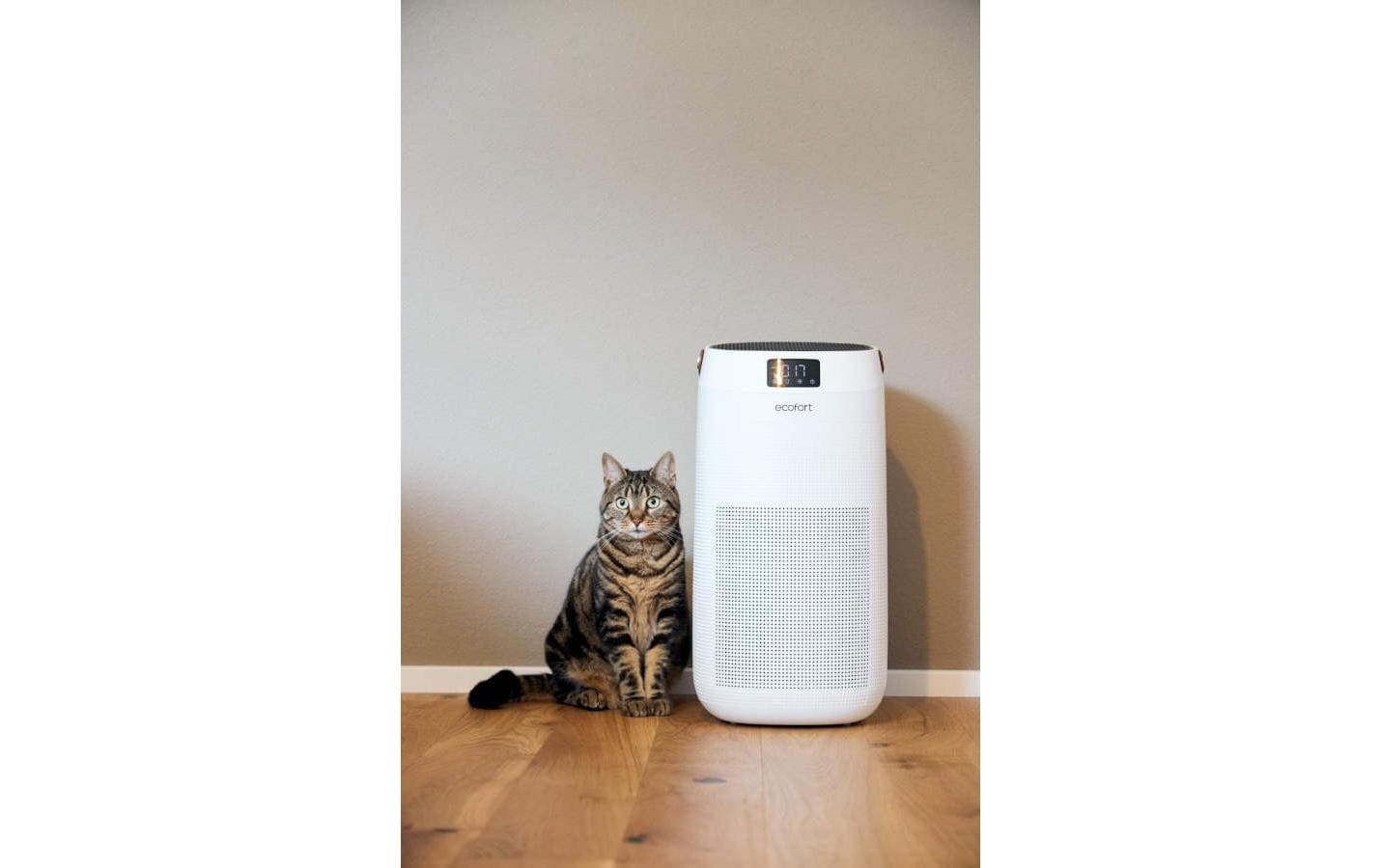 Luftreiniger »Ecofort Luftreiniger ecoQ CleanAir 400« für 80 qm Räume