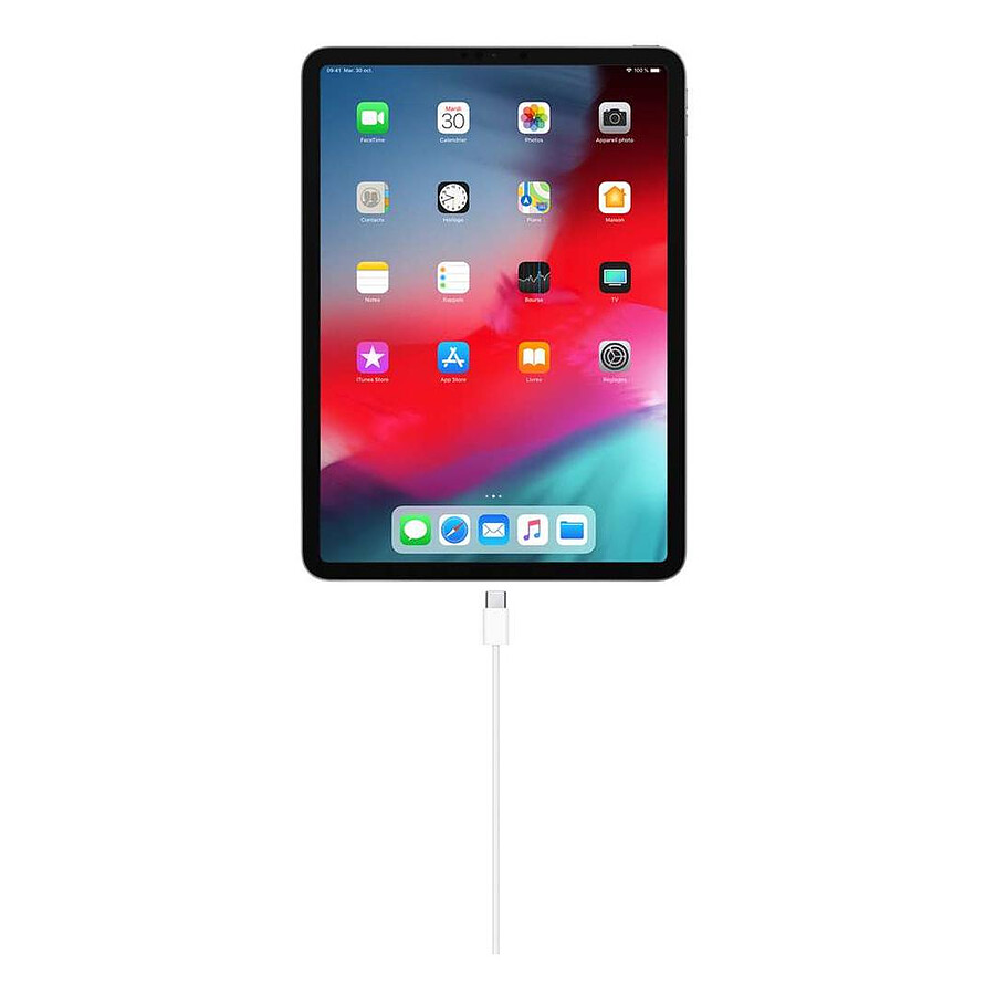 Apple Câble USB-C - 1 m