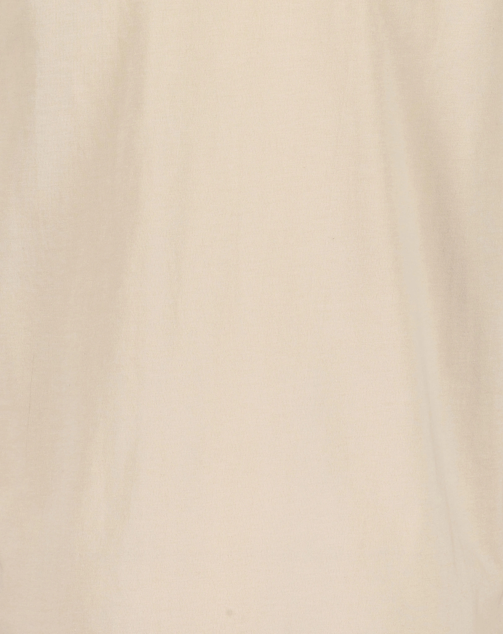 Langarmshirt VISUAL in beige