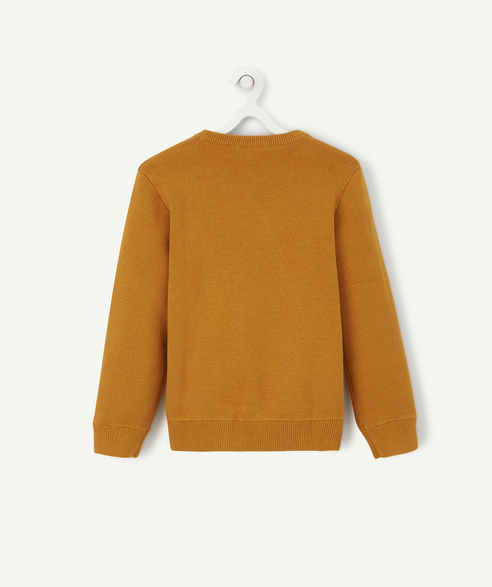 PULL EN TRICOT CAMEL AVEC MOTIF AIGLE EN FEUTRINE