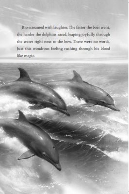 The Lost Whale (Hardback)
