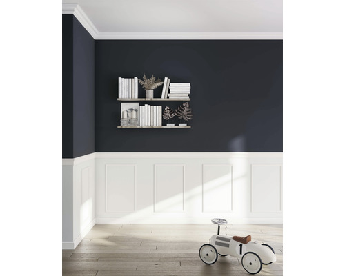 Frameset wandstrip CL2 bestaande uit 4 strips 59 x 39 x 2,5 cm