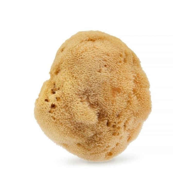 HHUUMM naturel Spons 01F Bruin 1 stuk