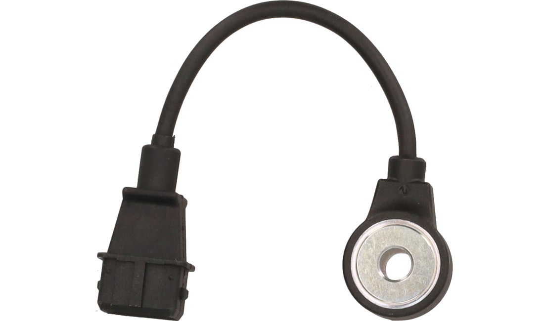 Bankesensor