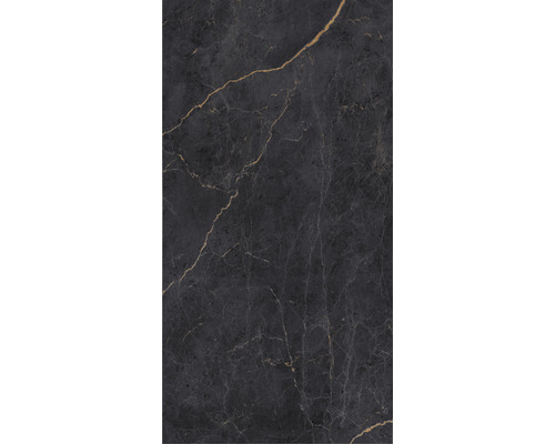 Doucheachterwand BREUER marmer 255 x 150 cm 9482559000204