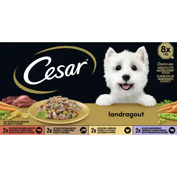 Landragout Multipack