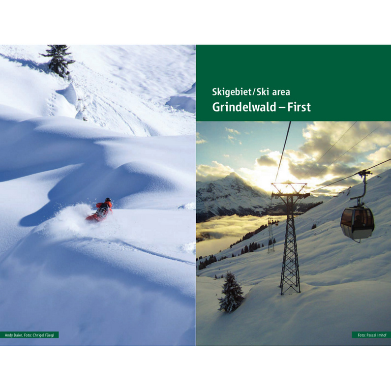 Roger Fischer Freeride Guide Jungfrau Region
