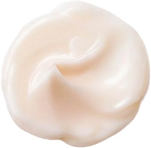 Shiseido Bio Performance Advanced Super Revitalizing Cream