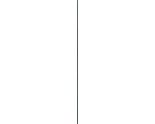 Spanstang ALBERTS 80 cm dennengroen