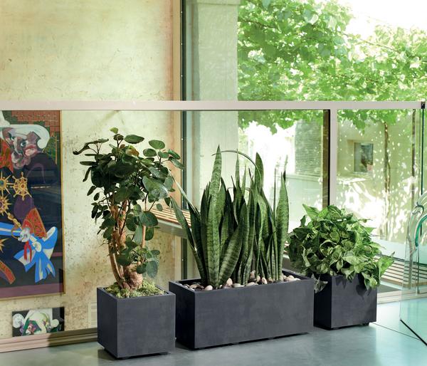 Deroma Kunststoff-Topf Millenium, quadratisch