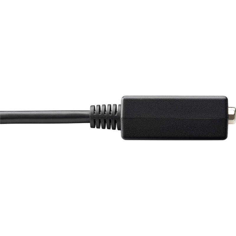 Tripp Lite P134-06N-VGA câble vidéo et adaptateur 0,15 m DisplayPort VGA (D-Sub) Noir
