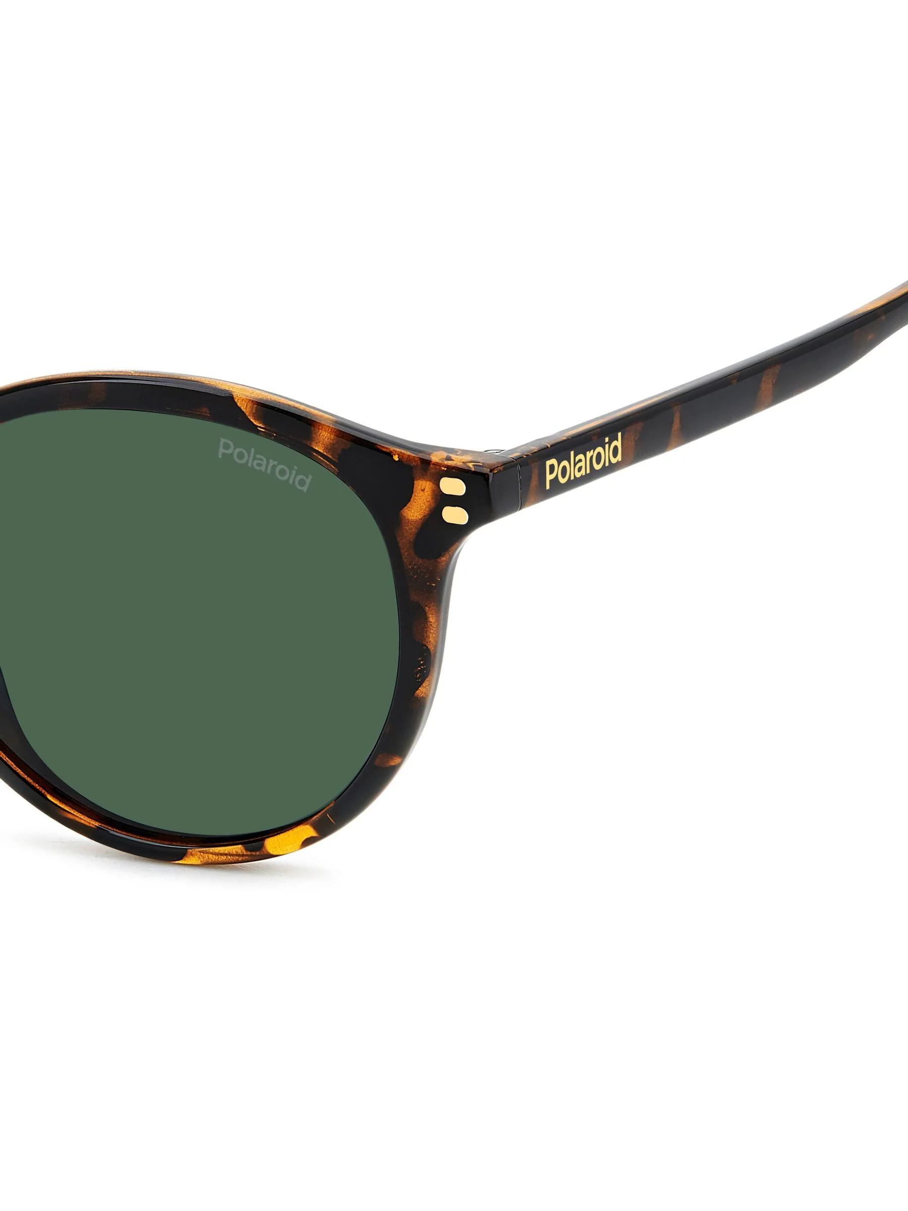Polaroid Havanas Panthos Brown Sunglasses