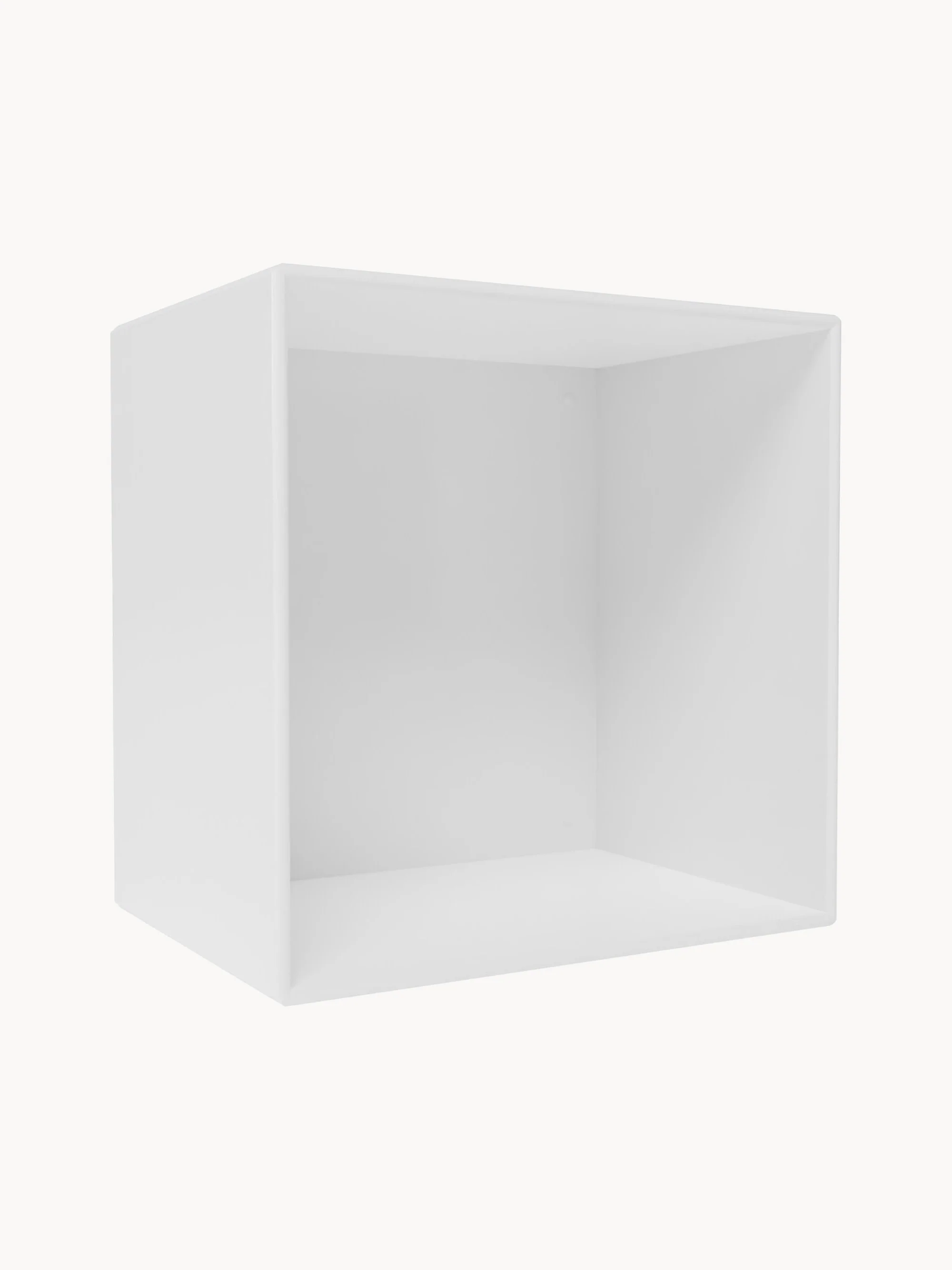 Module Mini 1001