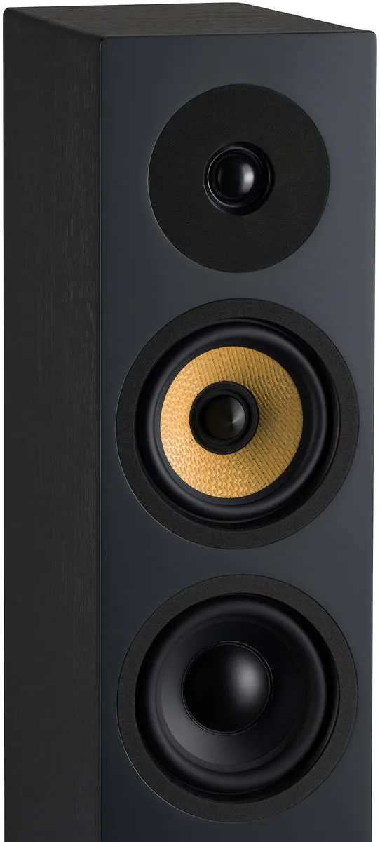 Davis Acoustics Krypton 6 Noir (la paire) Enceintes colonne